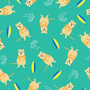 Happy Quokka & Surf scatter - Eagles_Aqua