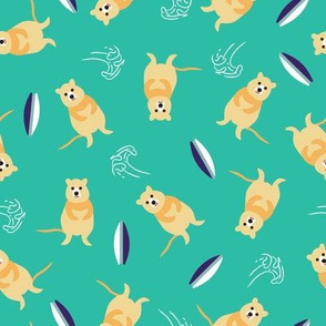 Happy Quokka & Surf scatter - Freo_Aqua