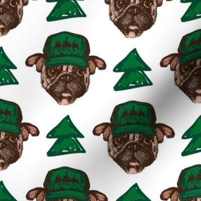 Pug dogs with green hats