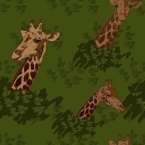 Giraffes in leaves