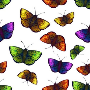 Butterflies