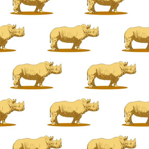 Rhinos