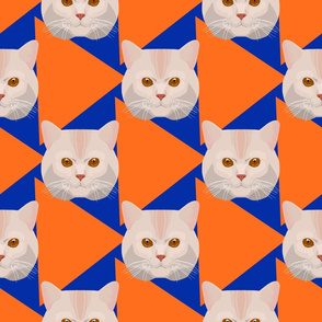 Cats and triangles