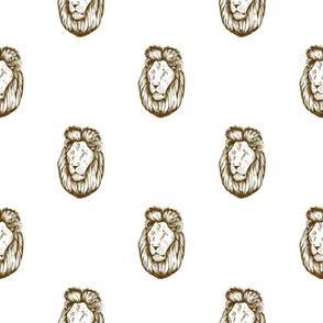 Lion portraits