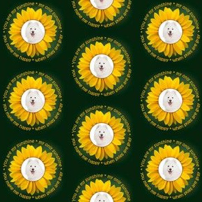 Sunflower Samoyed