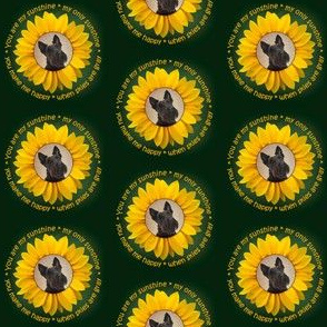 Sunflower Scottie
