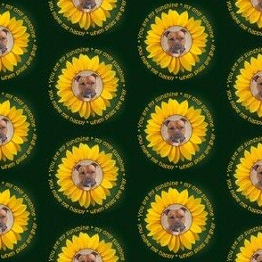 Staffie Sunflower