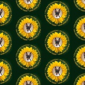 Toy Fox Terrier Sunflower