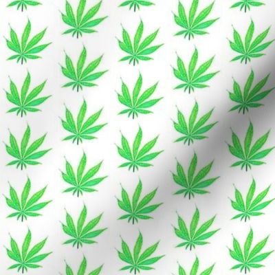 Green Marijuana Leaves