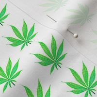 Green Marijuana Leaves