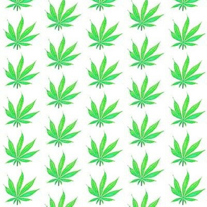 Green Marijuana Leaves