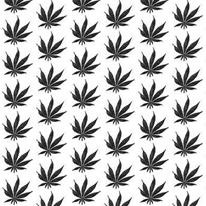 Black and White Weed