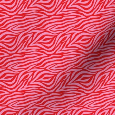 Zebra lovers for Valentine's Day in hot pink and red