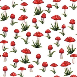 Red And White Mushrooms with grass