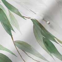 10" Native Eucalyptus Leaves Rain On White