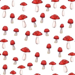 Red And White Mushrooms 