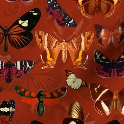 12" Red Vintage Butterflies - brown terracotta - 2 layers