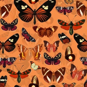12" Red Vintage Butterflies - orange - 2 layers