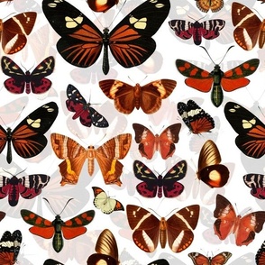 12" Red Vintage Butterflies - white - 2 layers