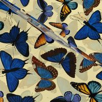 10" Blue Exotic Vintage Butterflies- Double layer on yellow