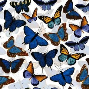10" Blue Exotic Vintage Butterflies- Double layer on white
