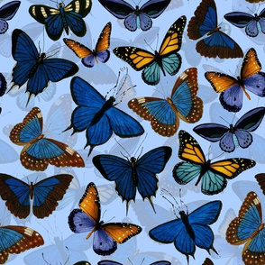 10" Blue Exotic Vintage Butterflies- Double layer on light blue