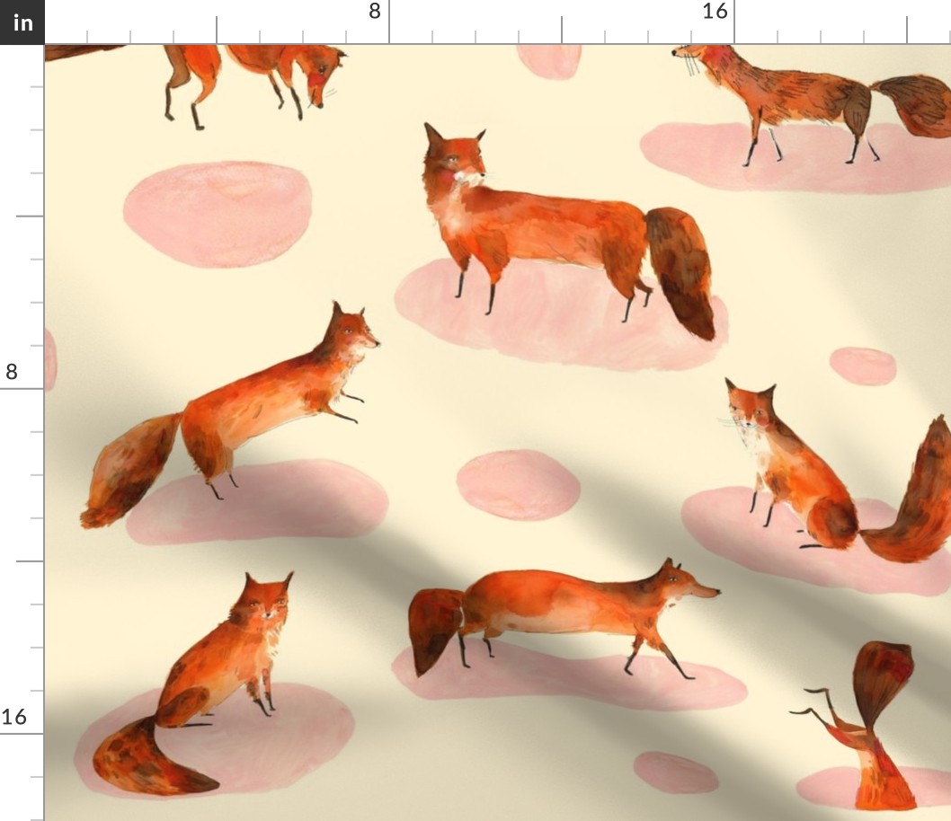 Fox illustrations