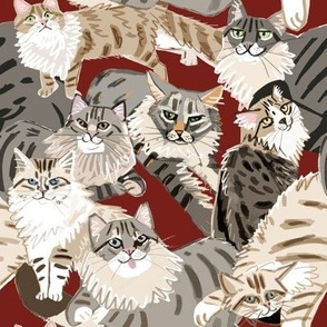 Cat Paradise  Pattern Red Big Scale