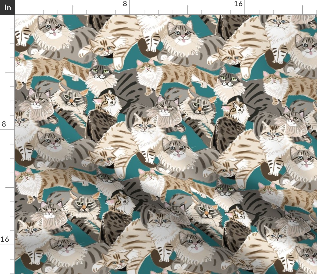 Cat Paradise  Pattern Teal Regular