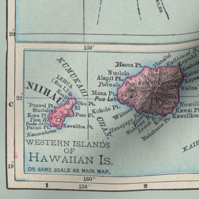 Hawaii Map Vintage