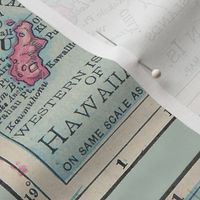 Hawaii Map Vintage