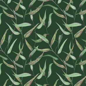 Green watercolor eucalyptus leaves.
