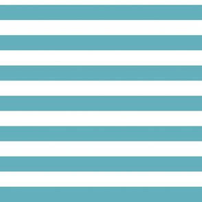 Aqua Awning Stripe Pattern Horizontal in White