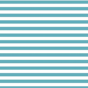 Aqua Bengal Stripe Pattern Horizontal in White