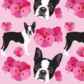 large scale // Boston Terrier Dog pink flowers dog fabric