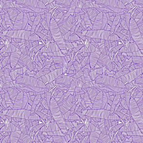 large_leaves_in_purple