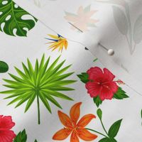 Hawaiian Flowers and Leaves on White