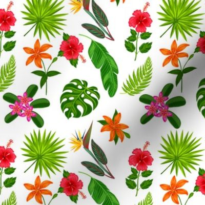 Hawaiian Flowers and Leaves on White