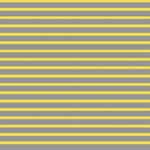 Breton Stripe in Yellow and Grey - Small