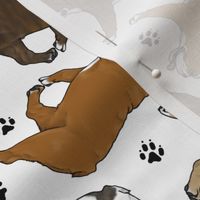 Trotting Bulldogs and paw prints - white