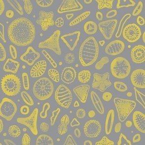 Diatoms - Microscopic STEM Science Algae Sea Life - Gold & Gray Illuminating Ultimate Gray