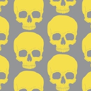 Skull No Jaw in Yellow and Grey - Tightly Spaced, Medium
