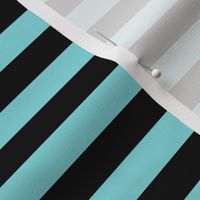 Aqua Sky Awning Stripe Pattern Horizontal in Black