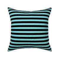 Aqua Sky Awning Stripe Pattern Horizontal in Black