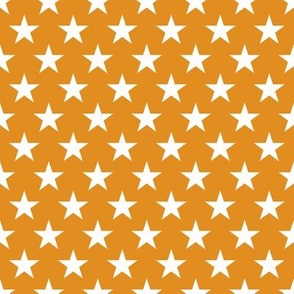 USA Stars 8 inch on orange