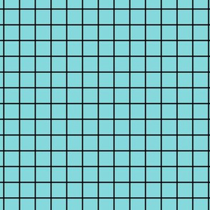 Grid Pattern - Aqua Sky and Black