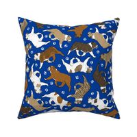 Trotting Bulldogs and paw prints - blue