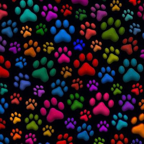 Colourful Cat Paws Large on Black 3D