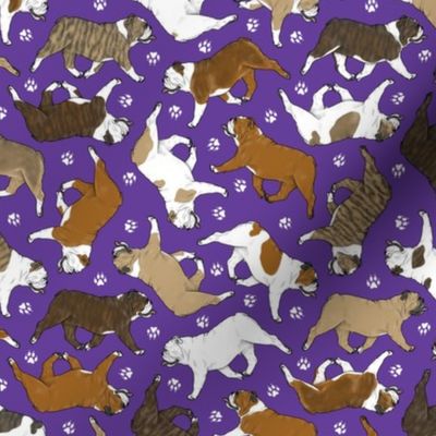 Tiny Trotting Bulldogs and paw prints - purple
