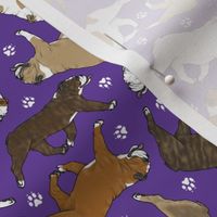 Tiny Trotting Bulldogs and paw prints - purple